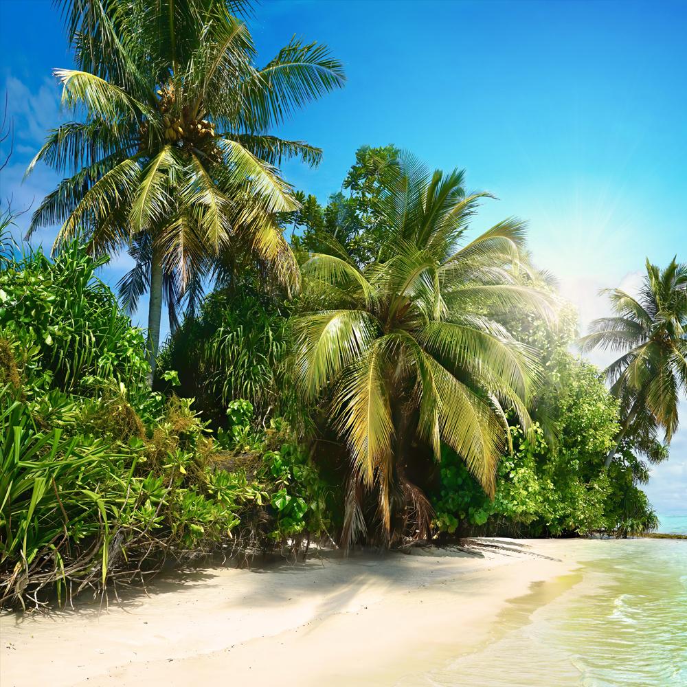 DISCONTINUING BBW Sea Island Shore Fragrance Oil