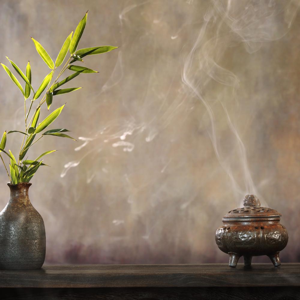 DISCONTINUING BBW Wrapped In Comfort Fragrance Oil