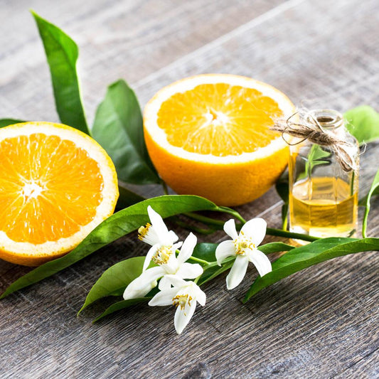 DISCONTINUING Basil & Neroli Fragrance Oil