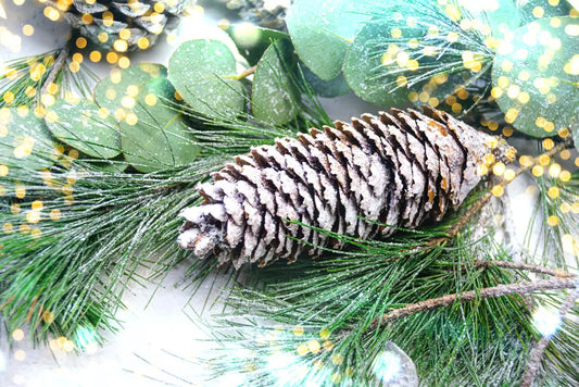 DISCONTINUING Frosted Pine & Eucalyptus Fragrance Oil