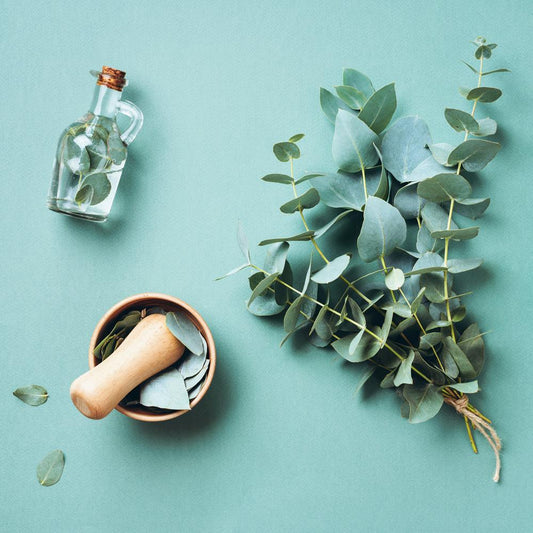 DISCONTINUING Peppermint & Eucalyptus Fragrance Oil