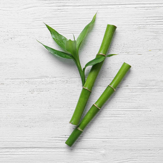 Green Bamboo & Fig Fragrance Oil