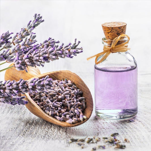 Lavender Fragrance Oil