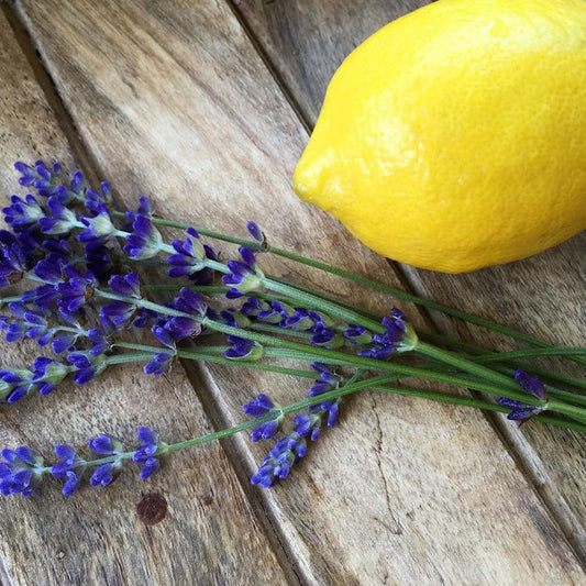 Lemon Lavender Fragrance Oil