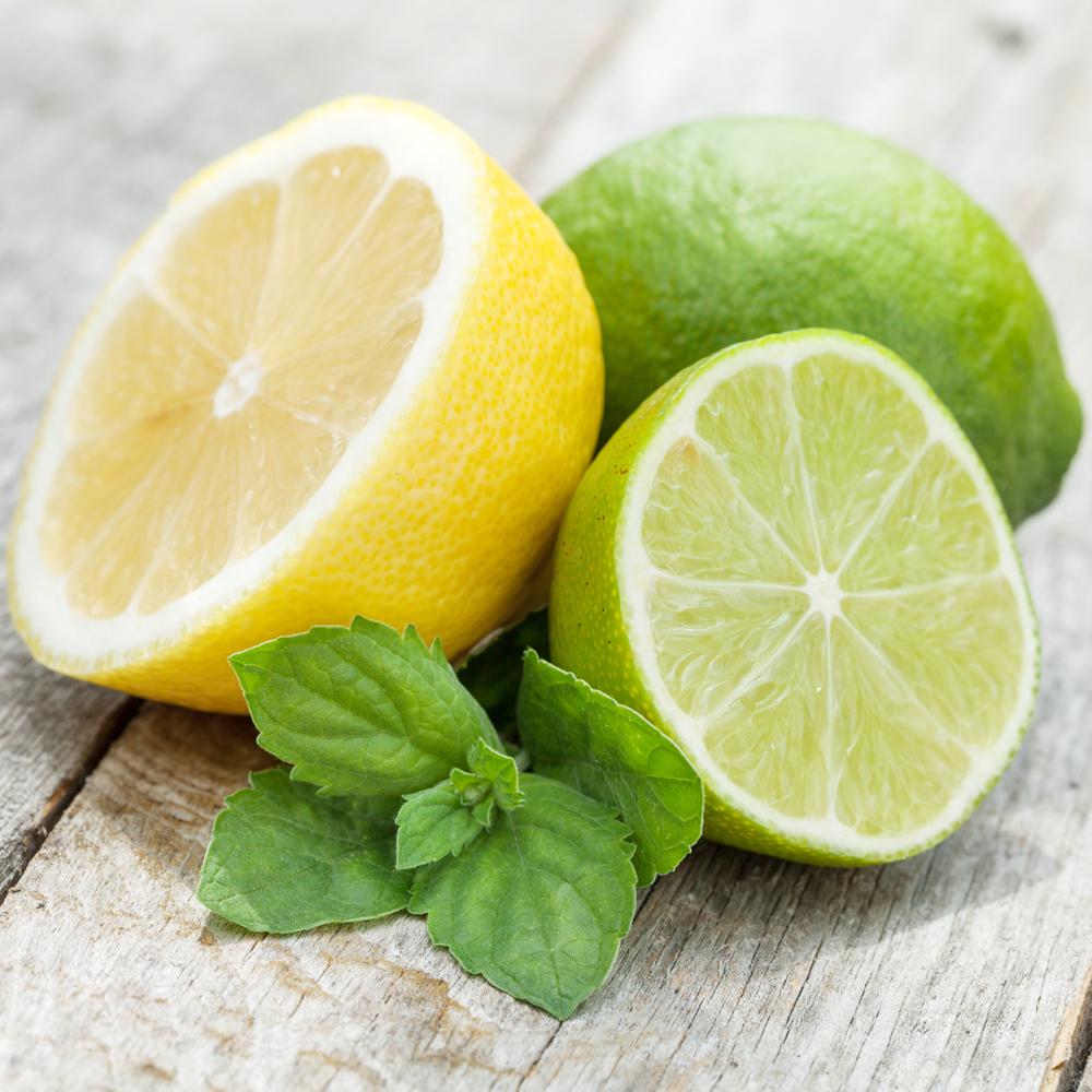 Lemon & Lime Fragrance Oil