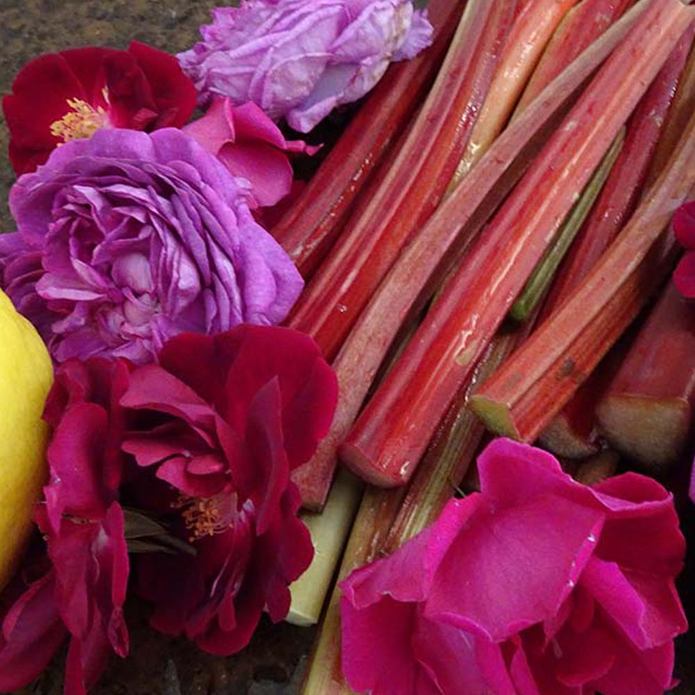 Rhubarb & Rose Fragrance Oil