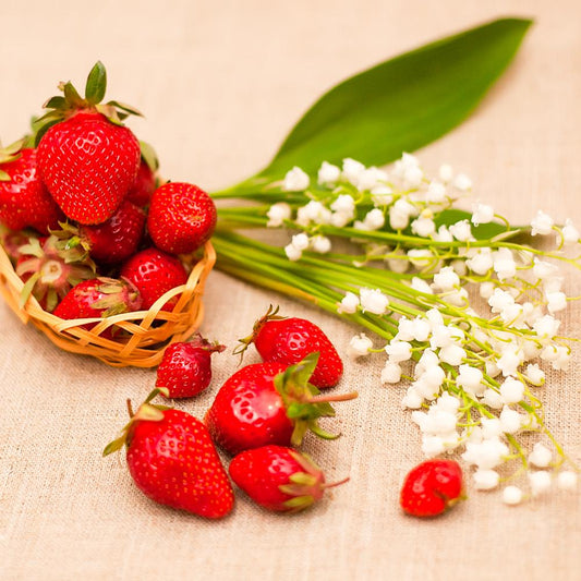 Strawberry & Lily Fragrance Oil